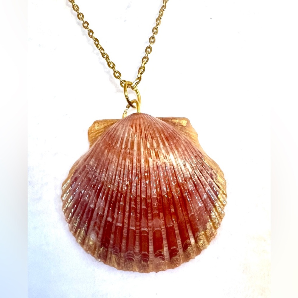Gold Rimmed Scallop Shell Pendant Necklace Gold plated 22 Inch Chain
